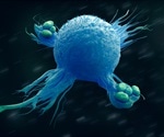 What are Macrophages?