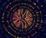 What is Functional Genomics?