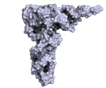 Researchers infer chemical steps involved in methylthiolation of tRNAs
