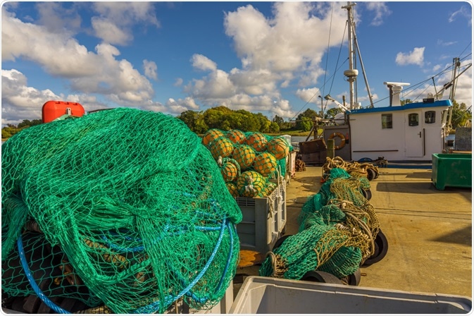 Overfishing Overfishing