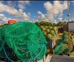Less Fishing to Fish More – Strategies to Replenish Fishery Stocks