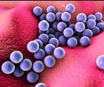 Newly identified antibacterial mechanism could inspire novel strategies to combat bacterial pathogens