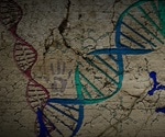 Researchers examine the deep past of human population dynamics