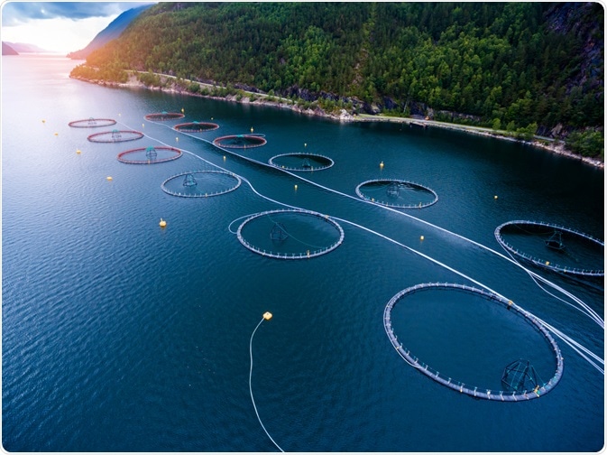 Fish Farm Fish Farm