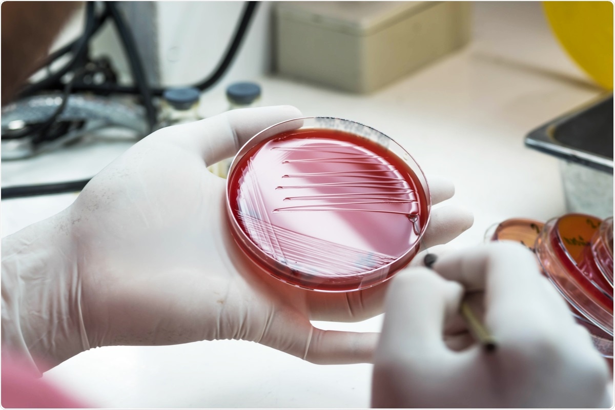 Bacterial culture plate