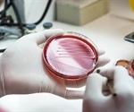 New study on peptides advances research on alternatives to antibiotics