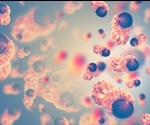 Experts explore the organization of cancer cells and the influence of drug treatment