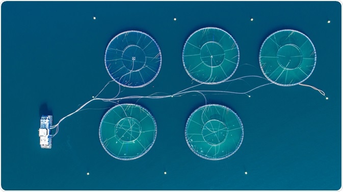 Aquaculture Aquaculture