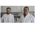 Virologists identify a dual-action drug effective against SARS-CoV-2