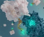 Scientists develop DNA-based fluorescent nanoantenna to evaluate protein activity