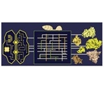 Computational genomics approach likely to be an integral part of analyzing effector biology