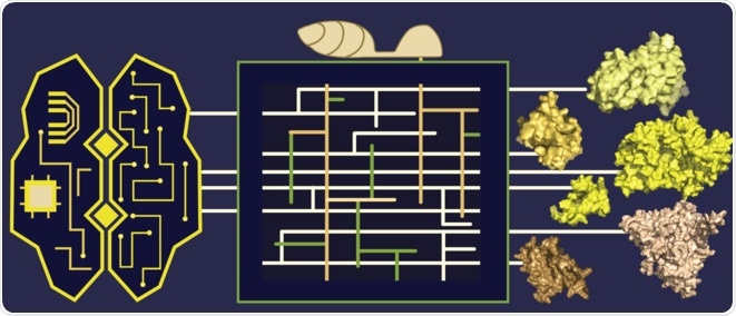 Computational genomics approach likely to be an integral part of analyzing effector biology