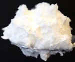 Researchers produce ovalbumin with the help of ascomycete fungus