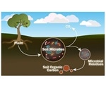 Study analyzes the role of individual soil microbes to predict climate change