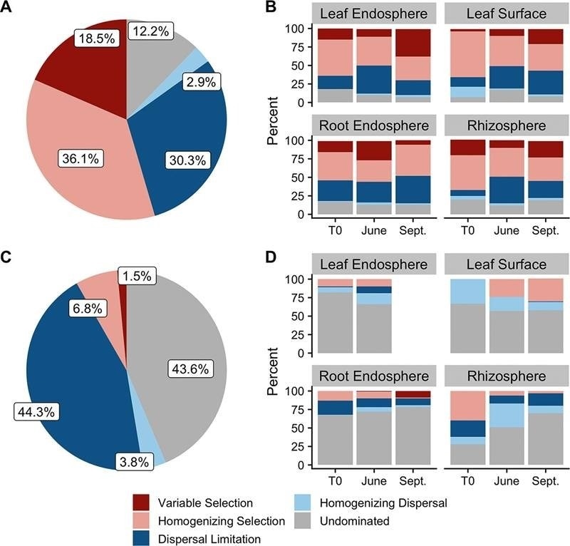 Study says plant microbiome influences health, survival, and fitness