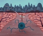 Oligodendrocyte plays major role in the development of multiple sclerosis, says study