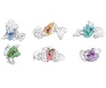 Experts develop AI-based binding site detection in nucleic acid macromolecules