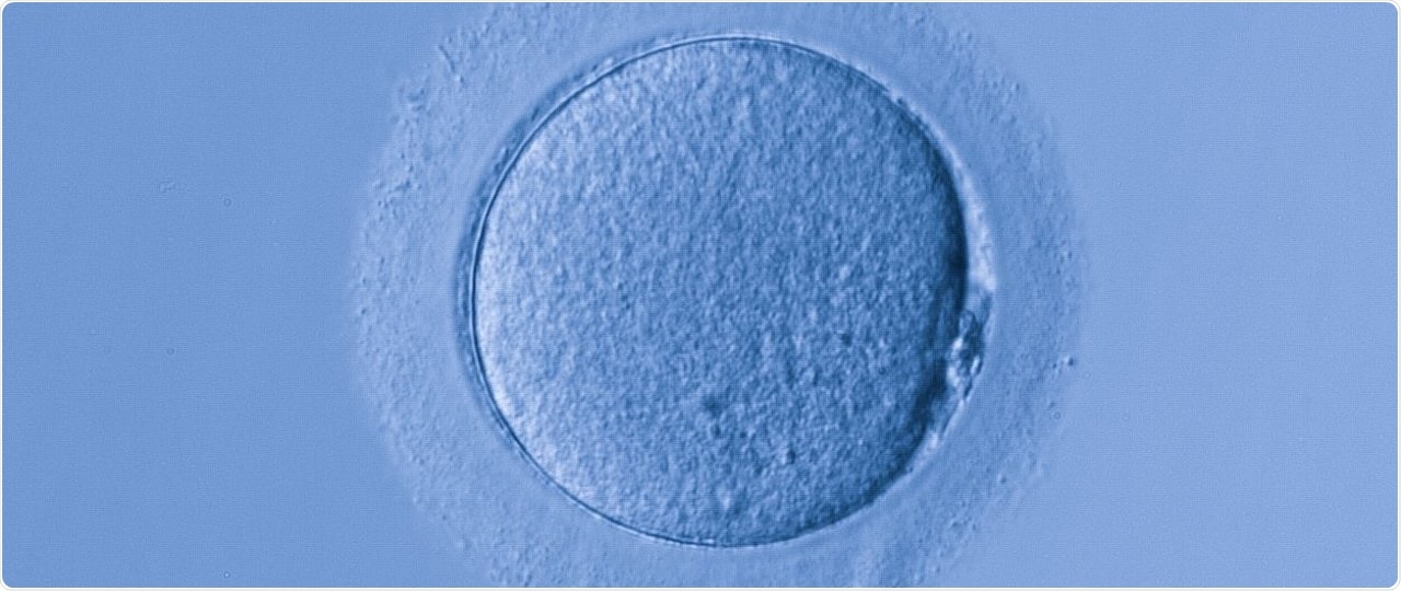 Scientists examine key mechanisms underlying genomic imprinting