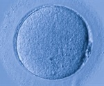 Scientists examine key mechanisms underlying genomic imprinting