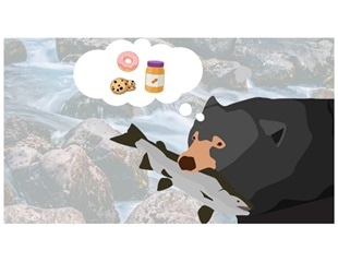 Consuming human food lowers microbial diversity in the gut of wild bears