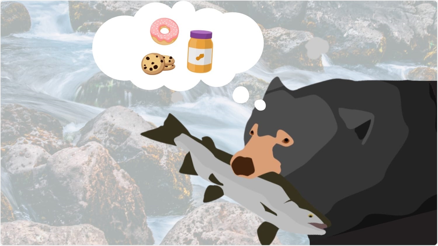 Consuming human food lowers microbial diversity in the gut of wild bears