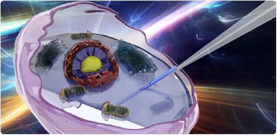 Label-free device enables in-situ tracking of cell development and maturation