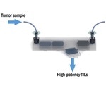 Novel technology combats cancer more quickly and efficiently