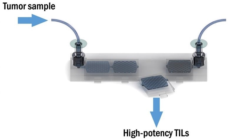 Novel technology combats cancer more quickly and efficiently