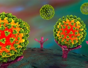 Latest tools for COVID-19 Omicron variant research
