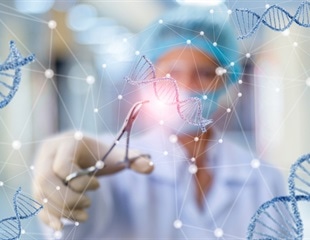 Novel delivery system for genome editing in vascular endothelial cells developed