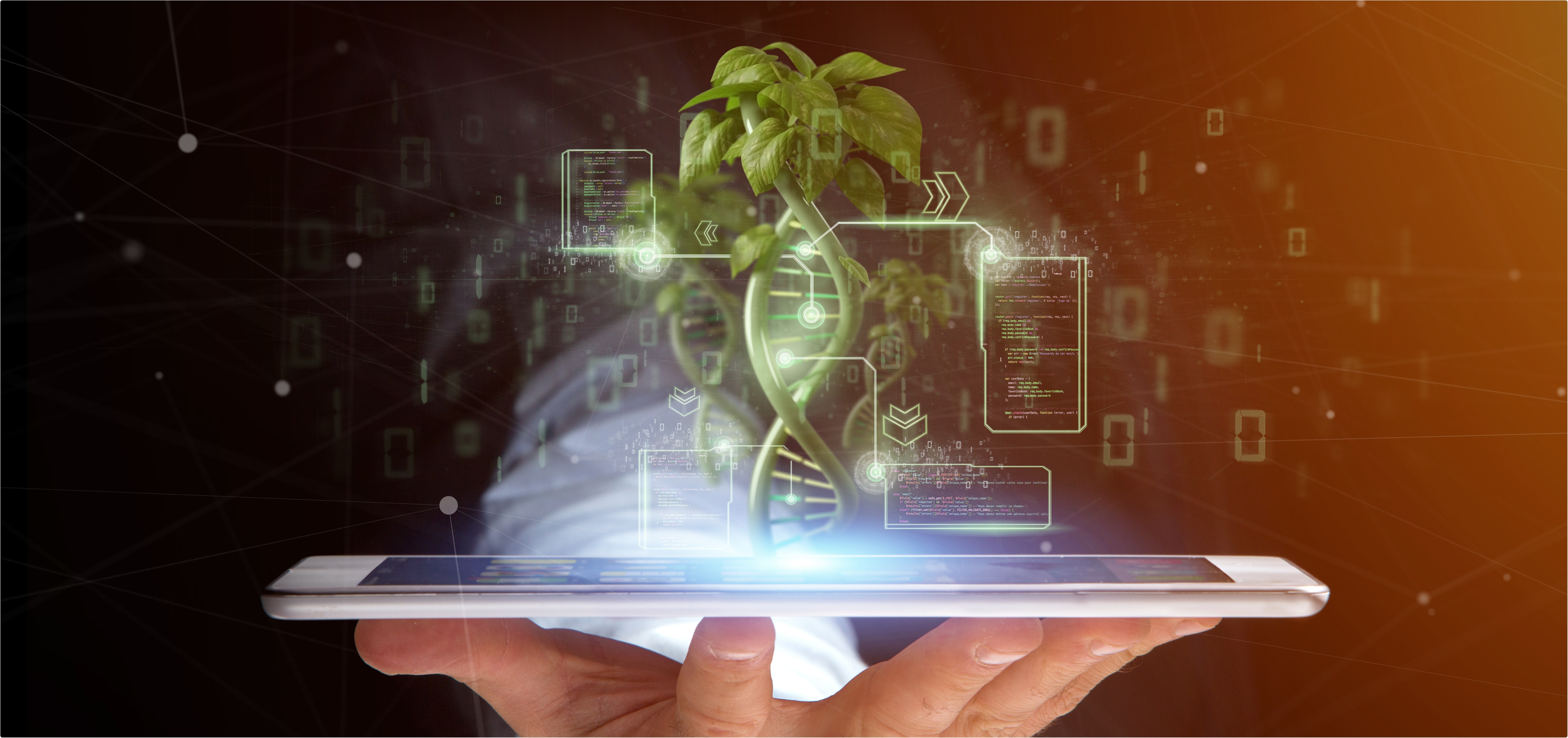 Plant Genomics Plant Genomics