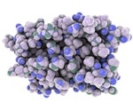 Researchers determine how key protein drives the defense system to fight viruses
