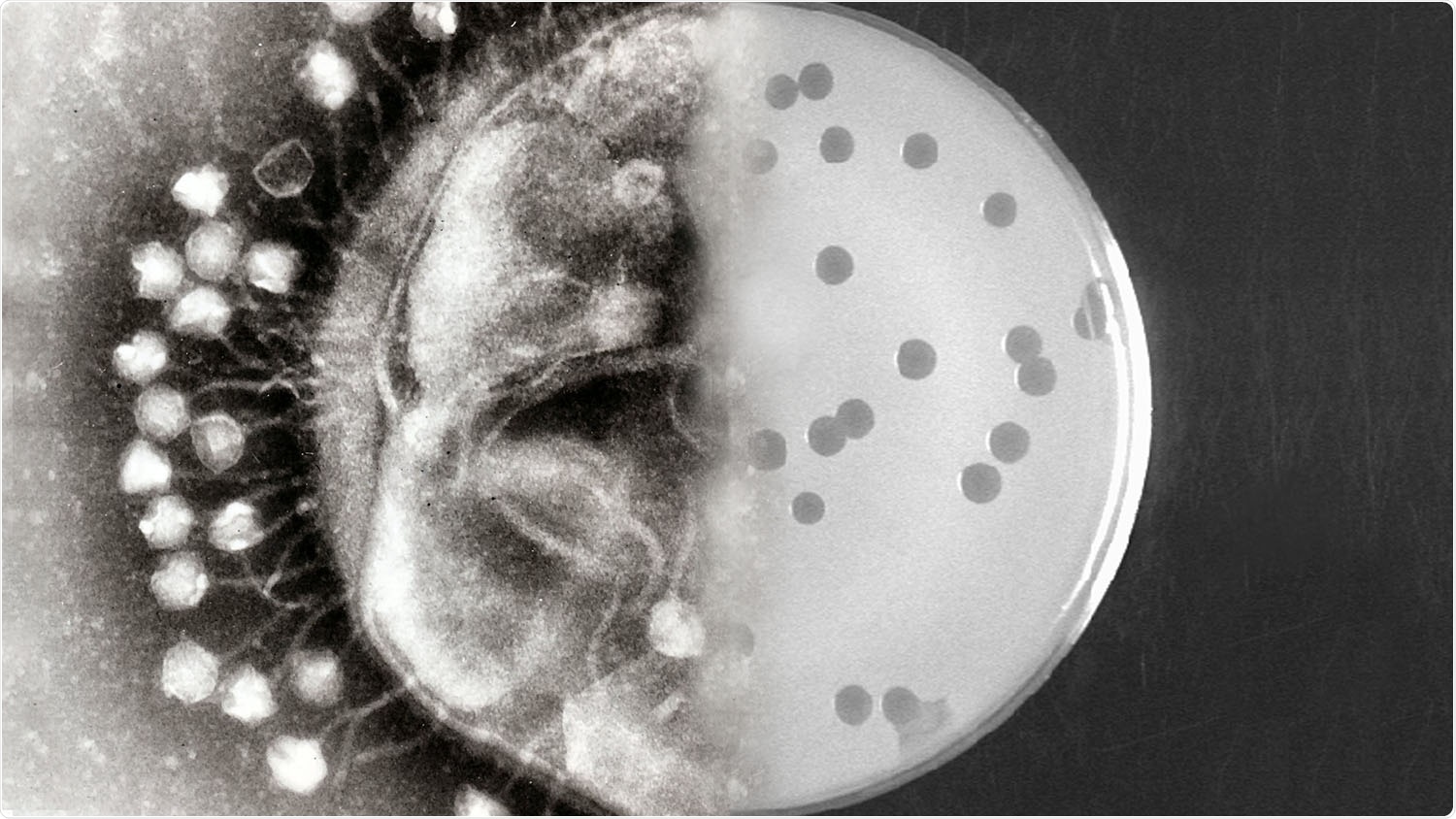 Researchers develop and demonstrate new procedure for controlling directed evolution