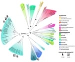 Microorganisms “breathe” rocks through extracellular electron transfer, says study