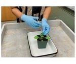 Study findings likely to be instrumental in synthetic biology approaches