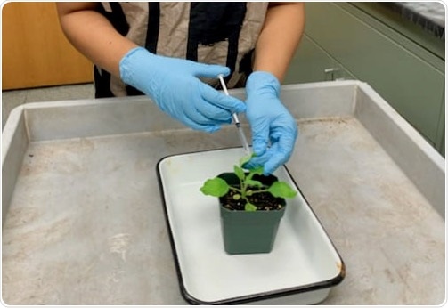 Study findings likely to be instrumental in synthetic biology approaches