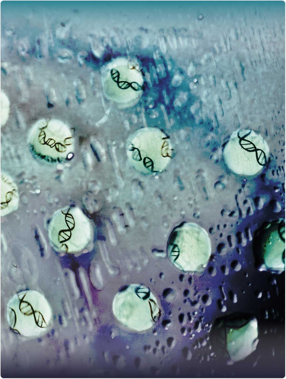 Dresden researchers explain how liquid-like protein droplets read DNA regions