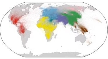 Researchers take a big step in mapping the entirety of human genetic relationships