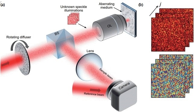 Researchers develop enhanced version of microscope that produce high-throughput 3D adaptive optical imaging