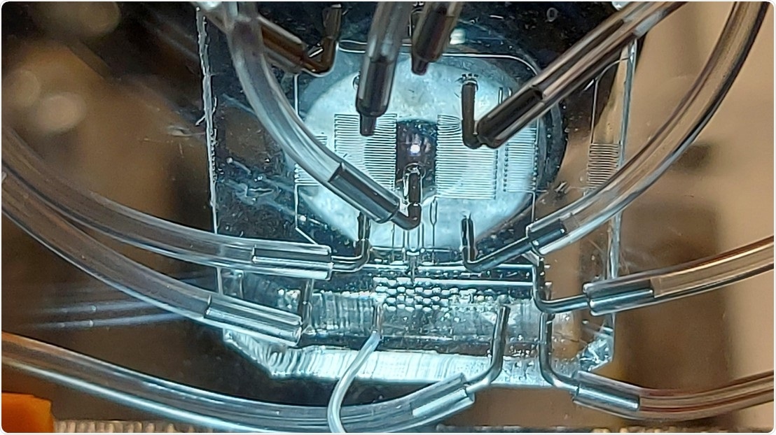 Researchers discover DisCo for effective processing of samples with fewer cells