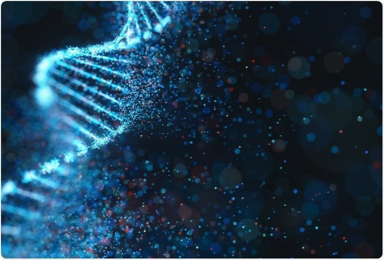 Researchers analyze how RNA molecules control the repair of damaged DNA in cancer cells