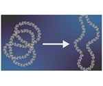 Study provides insight into the mechanism of action of DNA topoisomerase VI at the molecular level