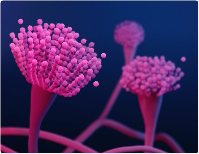 Agricultural fungicides generate resistance to antifungal medications, study finds