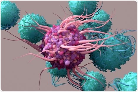 Central signaling pathway likely to help reduce the progression of autoimmune disorders