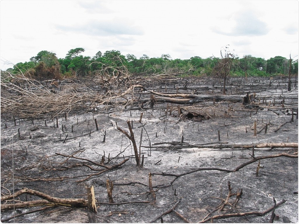 Research shows how genetically modified crops may help cut down greenhouse gas emissions