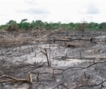Research shows how genetically modified crops may help cut down greenhouse gas emissions