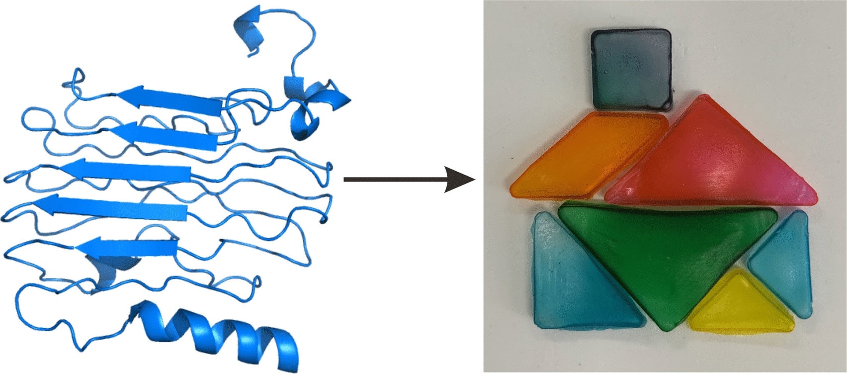 New protein-based bioplastics exhibit biodegradable and biocompatible properties