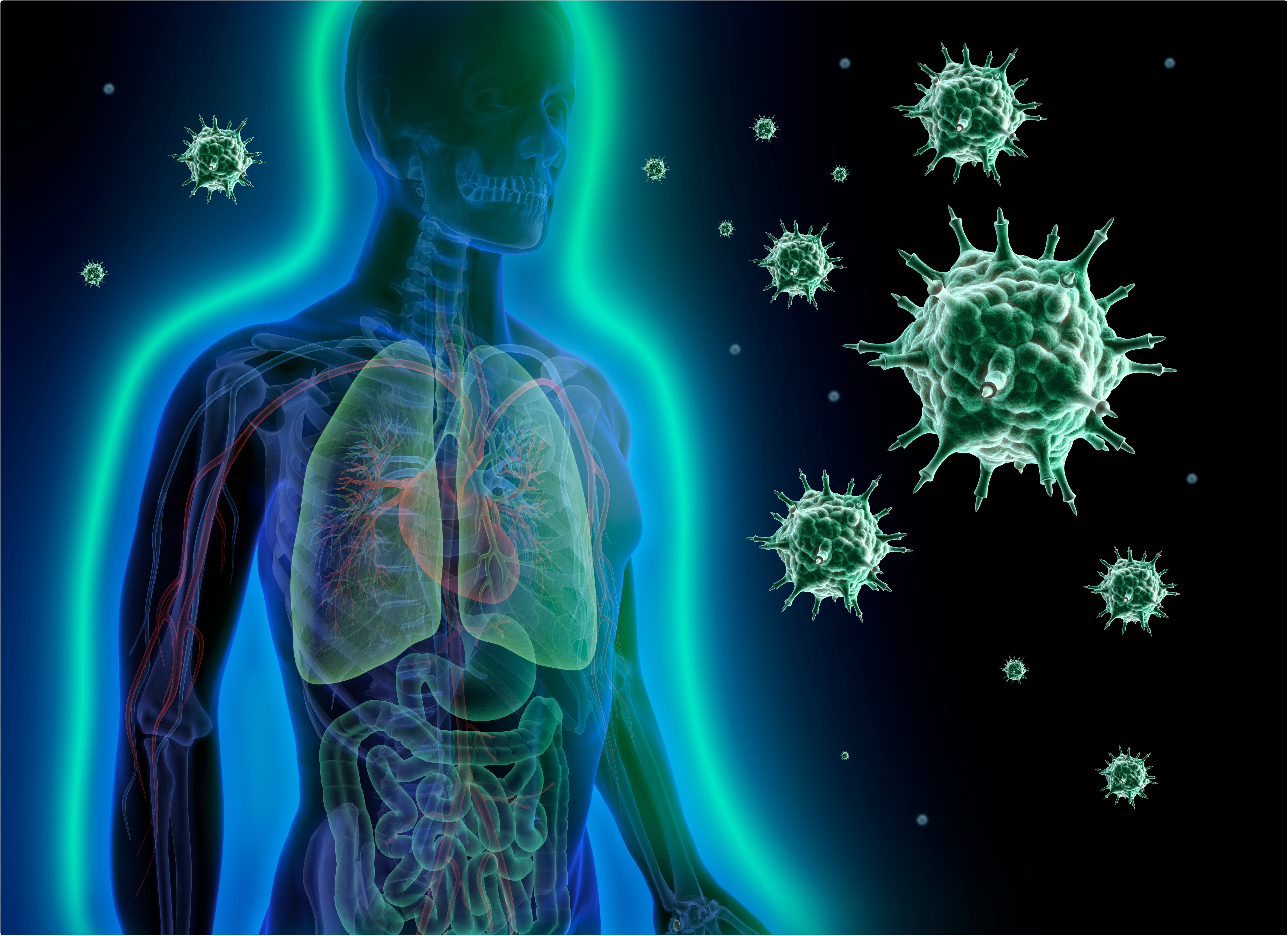 Immune System Immune System