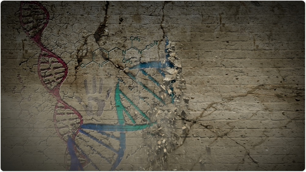 Ancient DNA Ancient DNA
