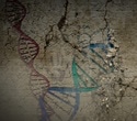 Ancient and historical DNA data likely to guide conservation efforts